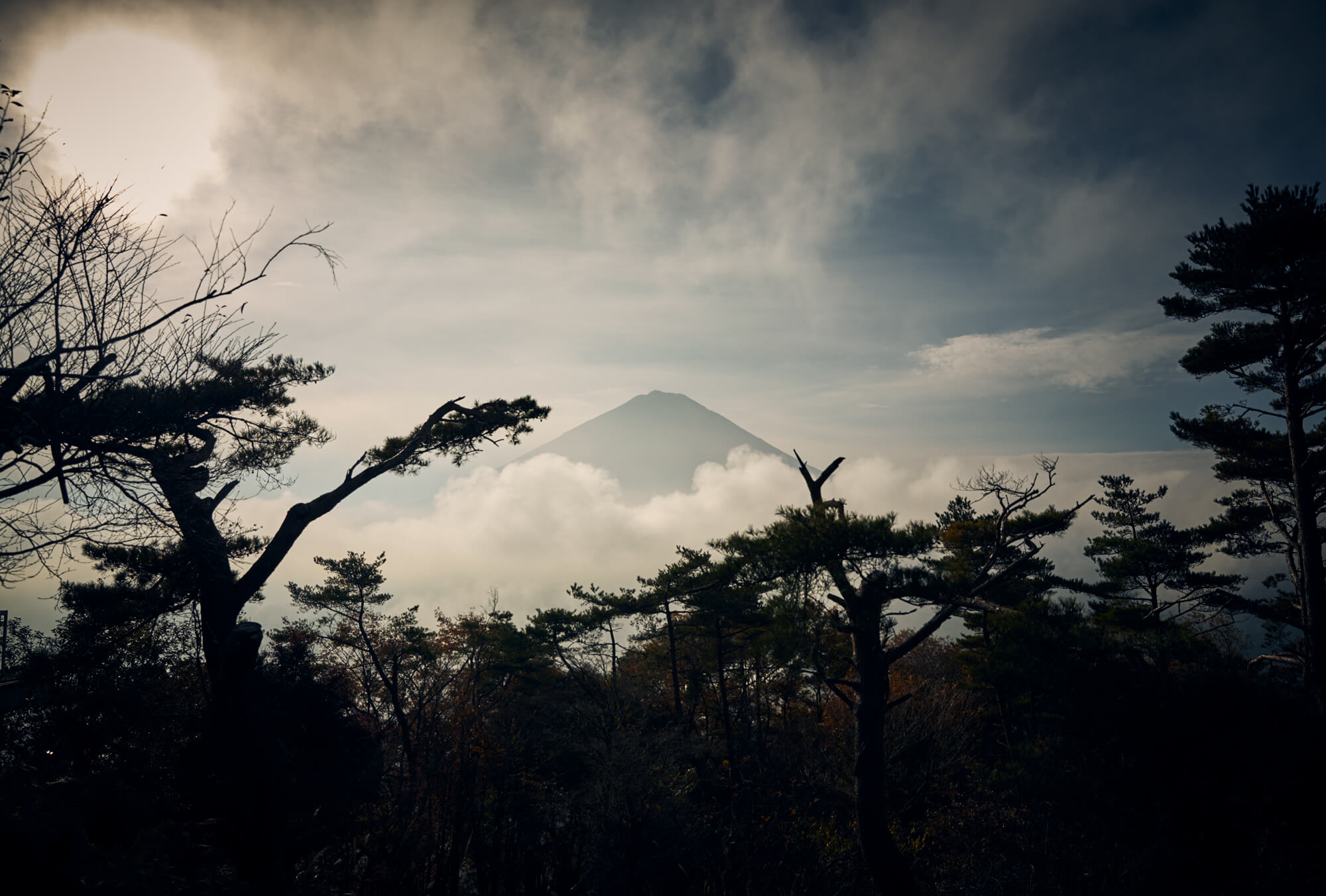 富士北麓の自然と結びつく物語たち
