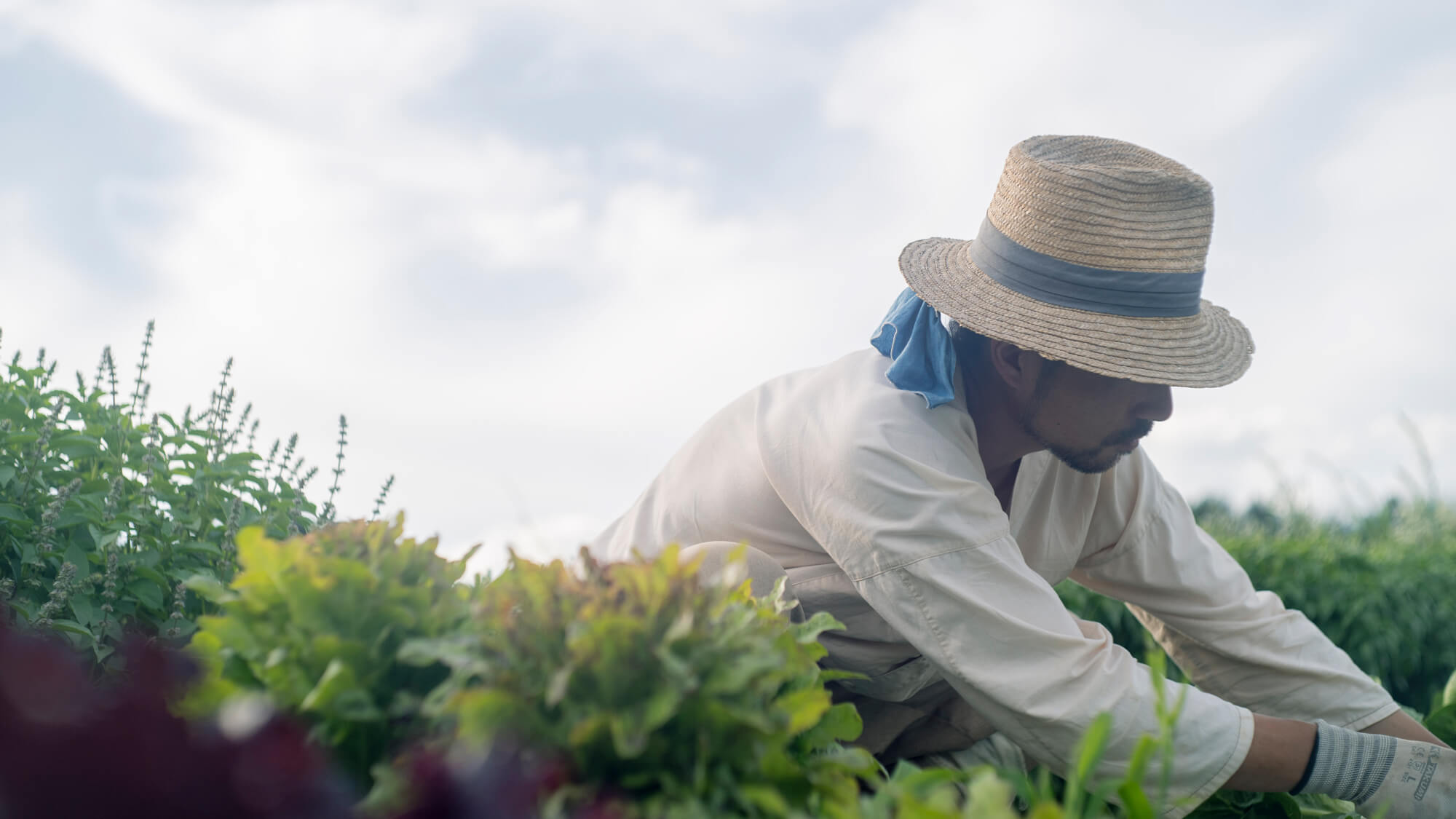移動が育む暮らし 長野県・御代田編 ｜ #05 軽トラで畑をめぐるDJ百姓